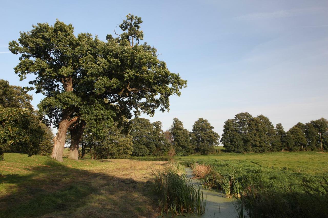 Ferienwohnungen Tannengrund Loddin Exterior foto