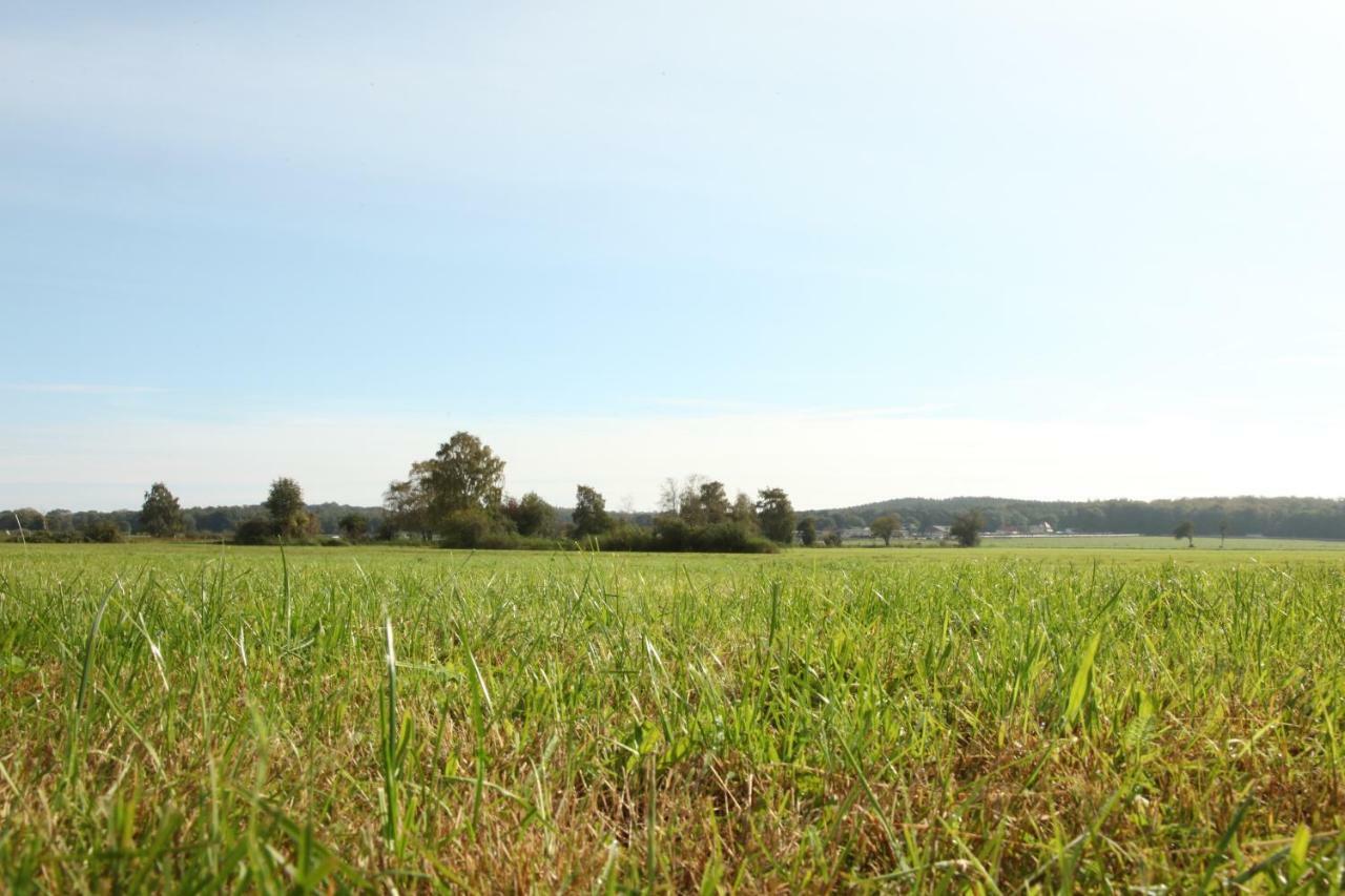 Ferienwohnungen Tannengrund Loddin Exterior foto
