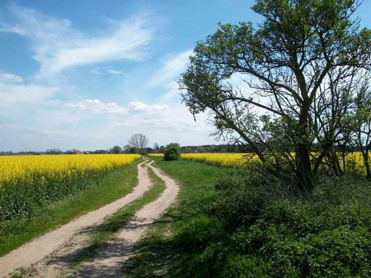 Ferienwohnungen Tannengrund Loddin Exterior foto